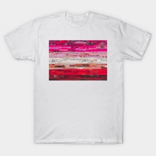 Lesbian Flag Collage T-Shirt